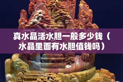真水晶活水胆一般多少钱（水晶里面有水胆值钱吗）