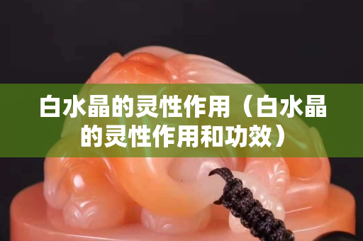 白水晶的灵性作用（白水晶的灵性作用和功效）