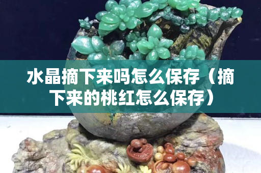 水晶摘下来吗怎么保存（摘下来的桃红怎么保存）
