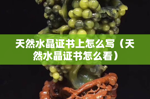 天然水晶证书上怎么写（天然水晶证书怎么看）