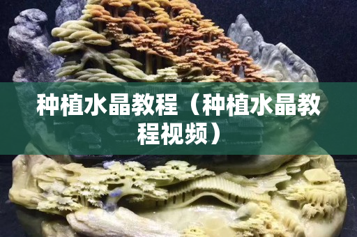 种植水晶教程（种植水晶教程视频）