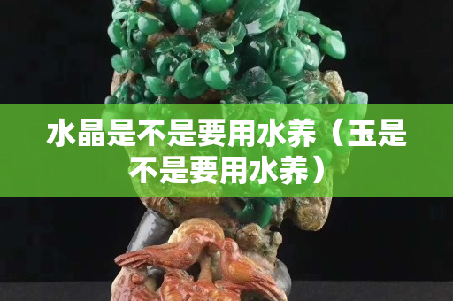 水晶是不是要用水养（玉是不是要用水养）