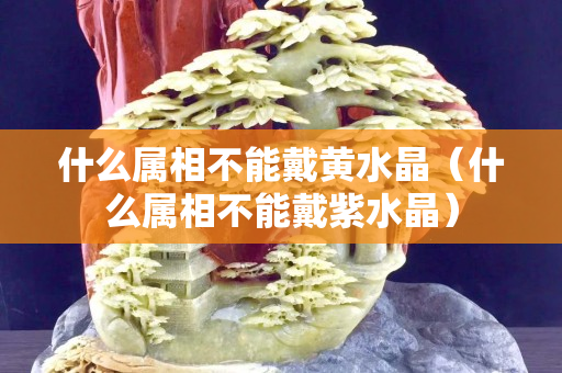 什么属相不能戴黄水晶（什么属相不能戴紫水晶）