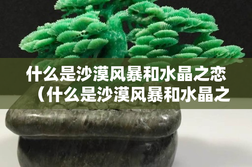 什么是沙漠风暴和水晶之恋（什么是沙漠风暴和水晶之恋的区别）