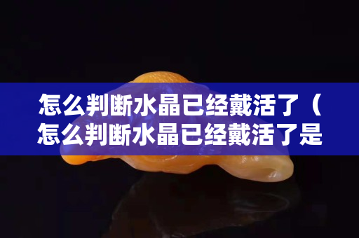 怎么判断水晶已经戴活了（怎么判断水晶已经戴活了是什么意思）