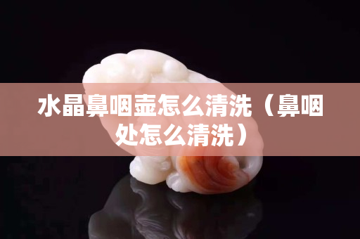 水晶鼻咽壶怎么清洗（鼻咽处怎么清洗）