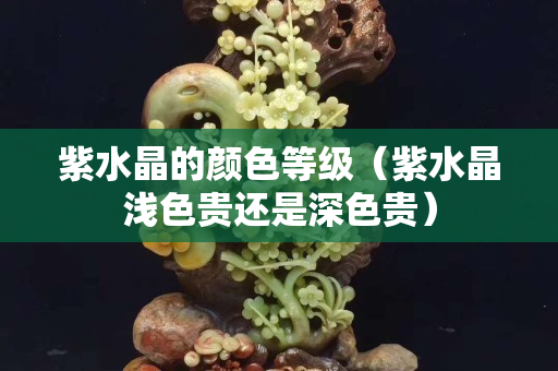 紫水晶的颜色等级（紫水晶浅色贵还是深色贵）