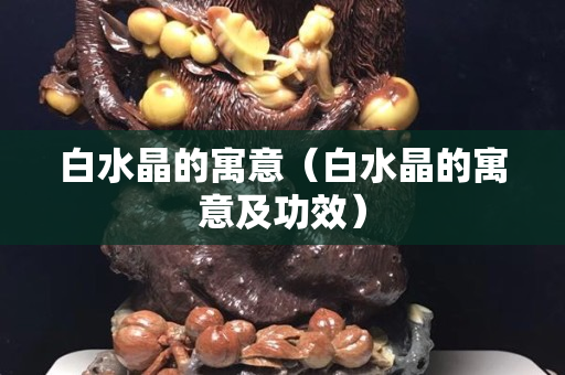 白水晶的寓意（白水晶的寓意及功效）