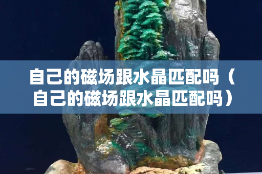 自己的磁场跟水晶匹配吗（自己的磁场跟水晶匹配吗）