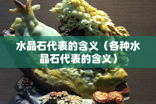水晶石代表的含义（各种水晶石代表的含义）
