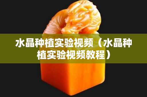 水晶种植实验视频（水晶种植实验视频教程）