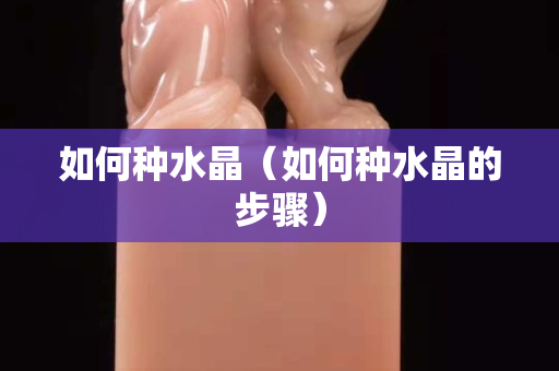 如何种水晶（如何种水晶的步骤）