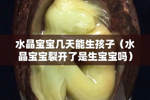 水晶宝宝几天能生孩子（水晶宝宝裂开了是生宝宝吗）