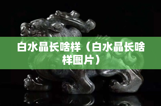 白水晶长啥样（白水晶长啥样图片）
