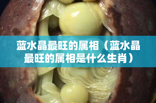 蓝水晶最旺的属相（蓝水晶最旺的属相是什么生肖）