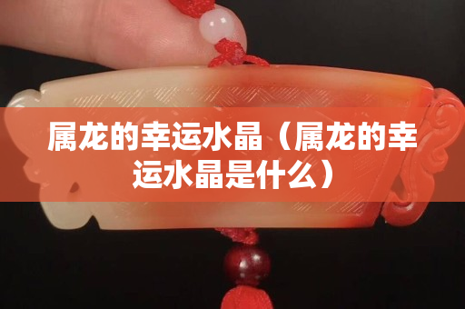 属龙的幸运水晶（属龙的幸运水晶是什么）