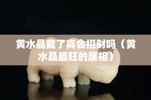 黄水晶戴了真会招财吗（黄水晶最旺的属相）