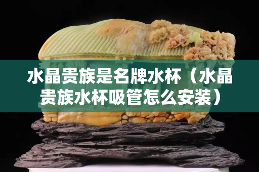 水晶贵族是名牌水杯（水晶贵族水杯吸管怎么安装）