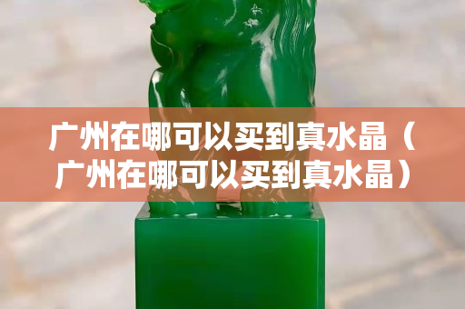 广州在哪可以买到真水晶（广州在哪可以买到真水晶）