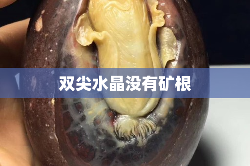 双尖水晶没有矿根