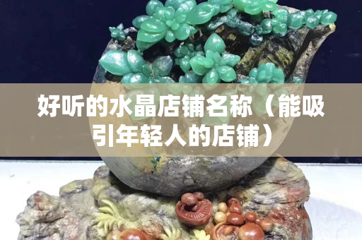 好听的水晶店铺名称（能吸引年轻人的店铺）