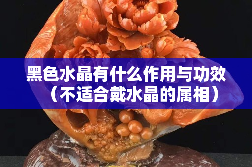 黑色水晶有什么作用与功效（不适合戴水晶的属相）