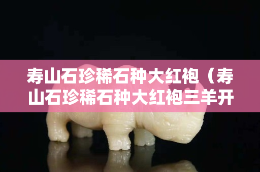 寿山石珍稀石种大红袍（寿山石珍稀石种大红袍三羊开泰大印章价格）