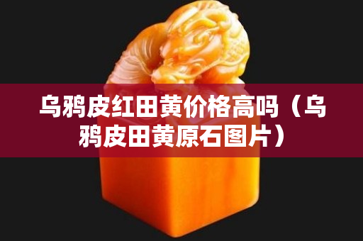 乌鸦皮红田黄价格高吗（乌鸦皮田黄原石图片）