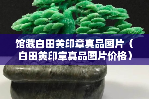 馆藏白田黄印章真品图片（白田黄印章真品图片价格）