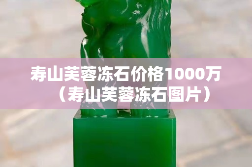 寿山芙蓉冻石价格1000万（寿山芙蓉冻石图片）