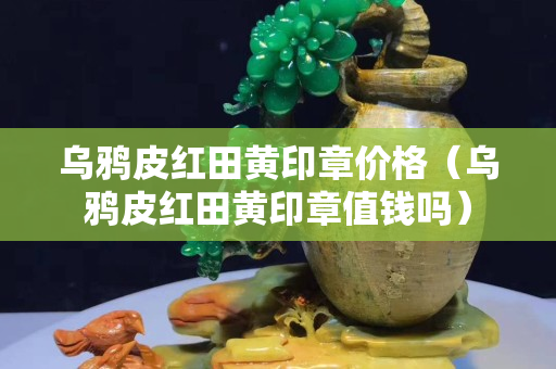 乌鸦皮红田黄印章价格（乌鸦皮红田黄印章值钱吗）