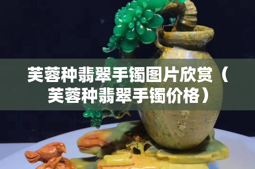 芙蓉种翡翠手镯图片欣赏（芙蓉种翡翠手镯价格）