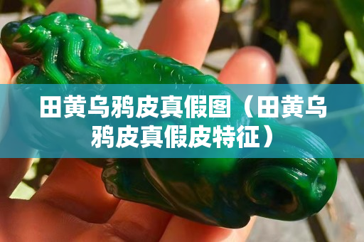 田黄乌鸦皮真假图（田黄乌鸦皮真假皮特征）