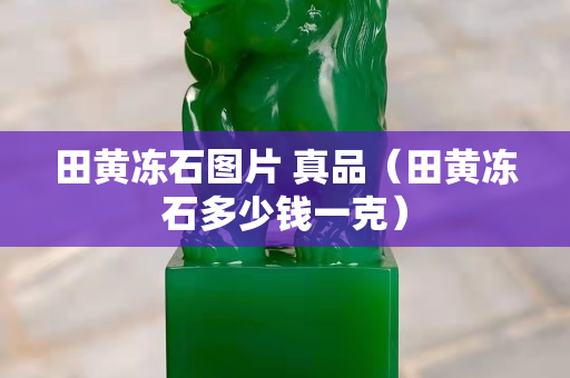 田黄冻石图片 真品（田黄冻石多少钱一克）