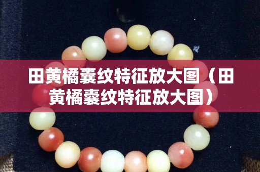 田黄橘囊纹特征放大图（田黄橘囊纹特征放大图）