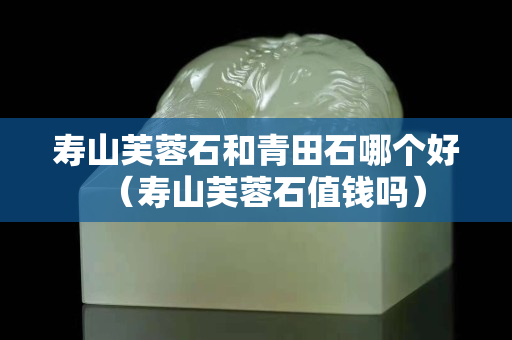 寿山芙蓉石和青田石哪个好（寿山芙蓉石值钱吗）