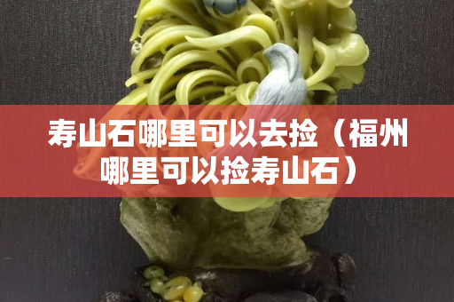 寿山石哪里可以去捡（福州哪里可以捡寿山石）