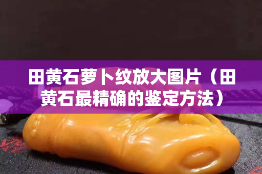 田黄石萝卜纹放大图片（田黄石最精确的鉴定方法）