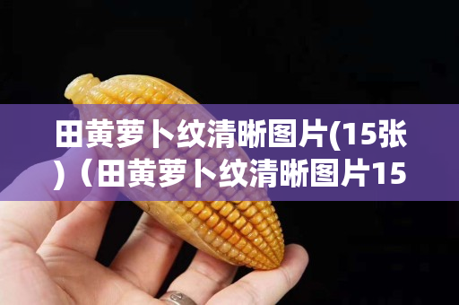 田黄萝卜纹清晰图片(15张)（田黄萝卜纹清晰图片15张）