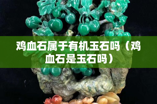 鸡血石属于有机玉石吗（鸡血石是玉石吗）