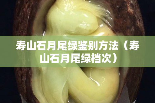 寿山石月尾绿鉴别方法（寿山石月尾绿档次）
