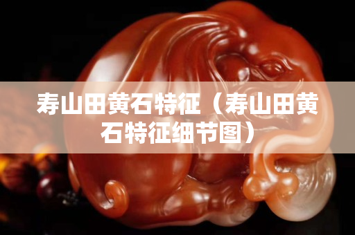 寿山田黄石特征（寿山田黄石特征细节图）