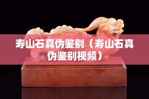 寿山石真伪鉴别（寿山石真伪鉴别视频）