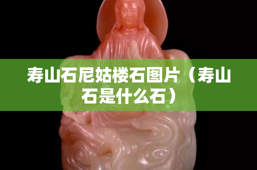寿山石尼姑楼石图片（寿山石是什么石）