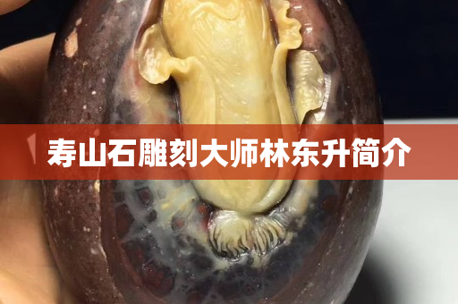 寿山石雕刻大师林东升简介