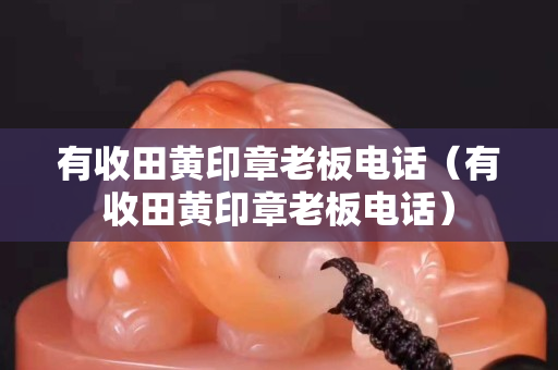 有收田黄印章老板电话（有收田黄印章老板电话）