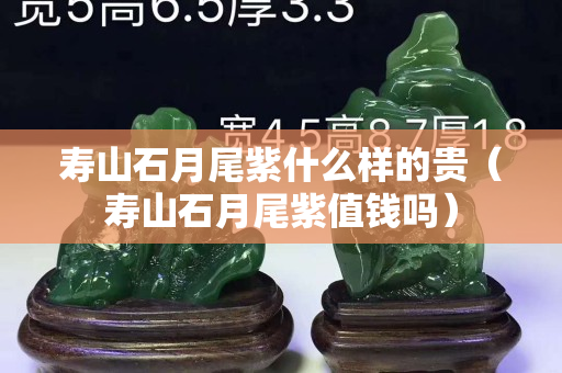寿山石月尾紫什么样的贵（寿山石月尾紫值钱吗）