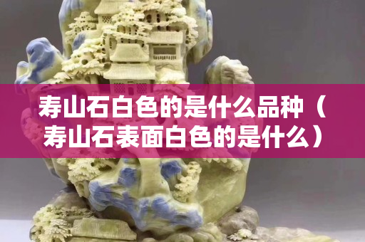 寿山石白色的是什么品种（寿山石表面白色的是什么）