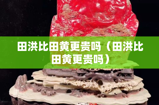 田洪比田黄更贵吗（田洪比田黄更贵吗）