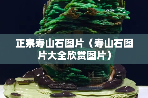 正宗寿山石图片（寿山石图片大全欣赏图片）